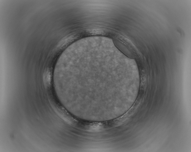 X0000110720124200907241214