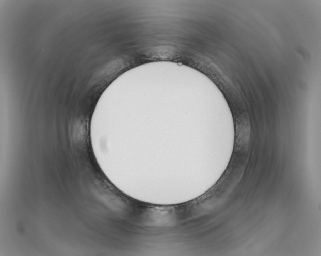 X0000110720126200907241214