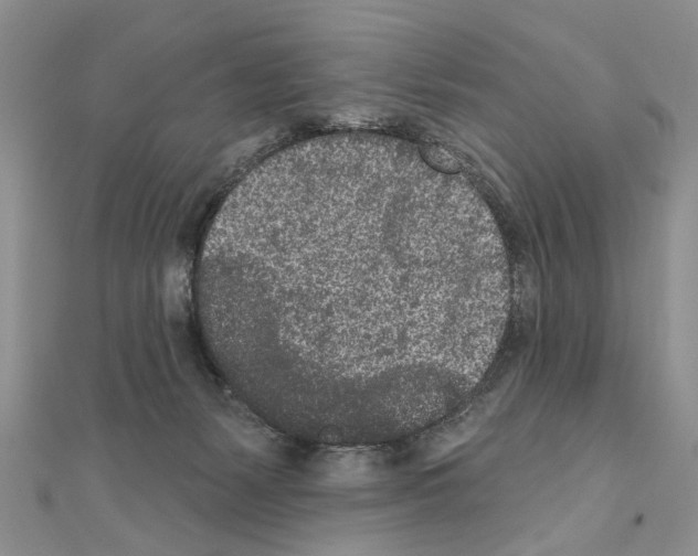 X0000110720127200907241214