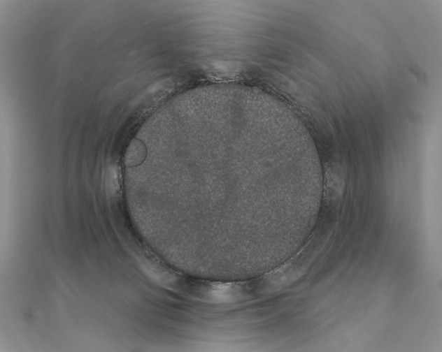 X0000110720130200907241214