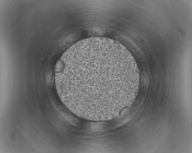 X0000110720134200907241214