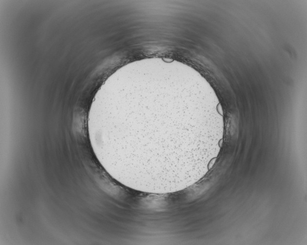 X0000110720138200907241214