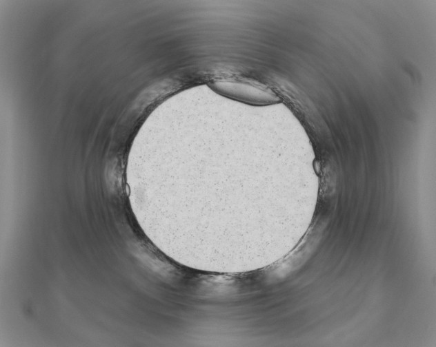 X0000110720140200907241214