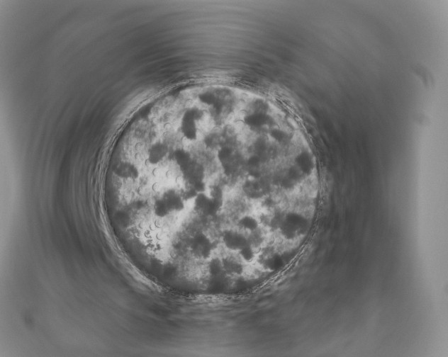 X0000110720145200907241214