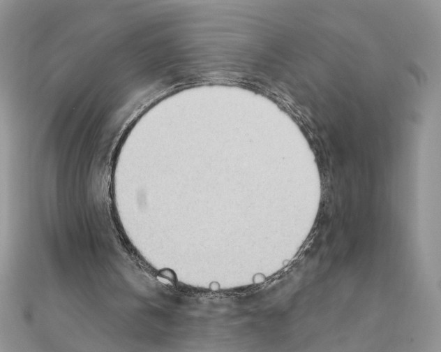 X0000110720146200907241214