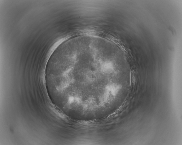 X0000110720147200907241214