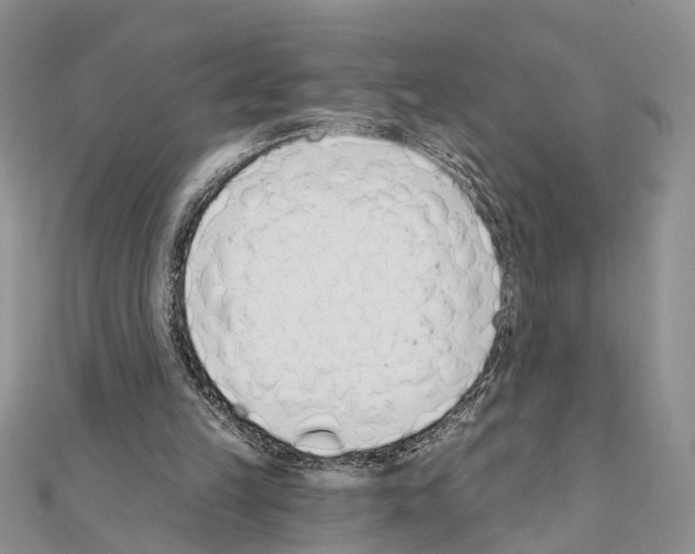 X0000110720149200907241214