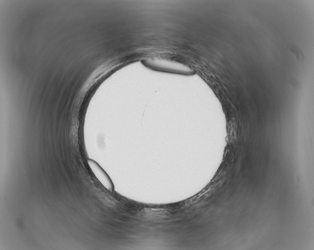 X0000110720150200907241214