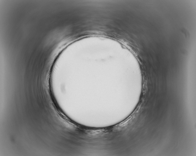 X0000110720151200907241214