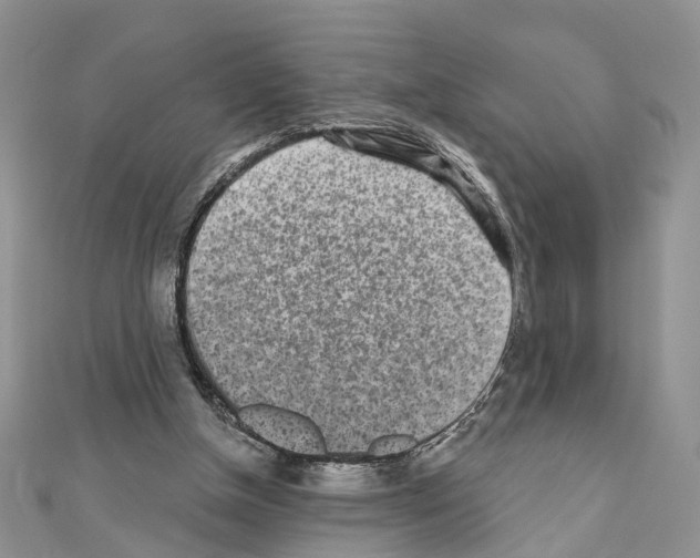 X0000110720154200907241214