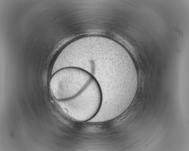 X0000110720155200907241214