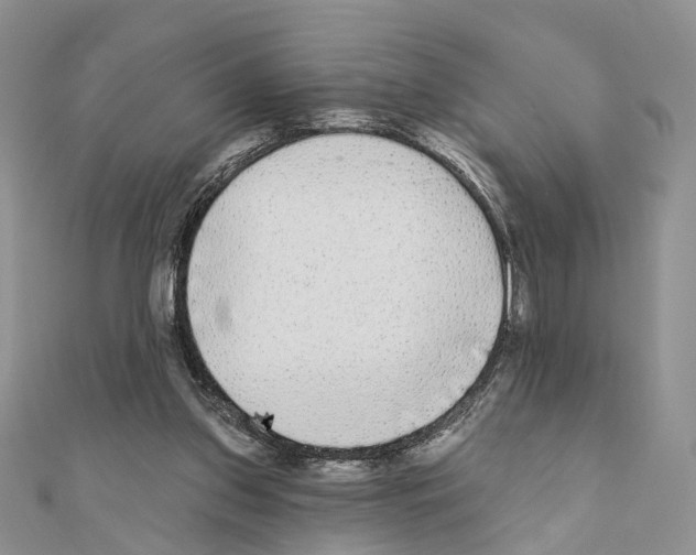 X0000110720157200907241214