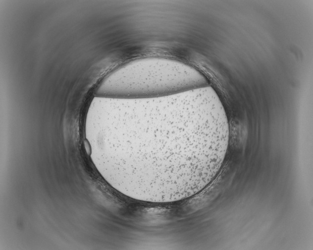 X0000110720158200907241214