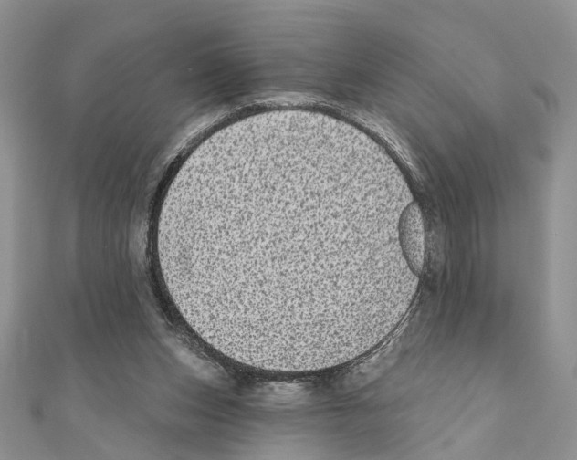 X0000110720159200907241214