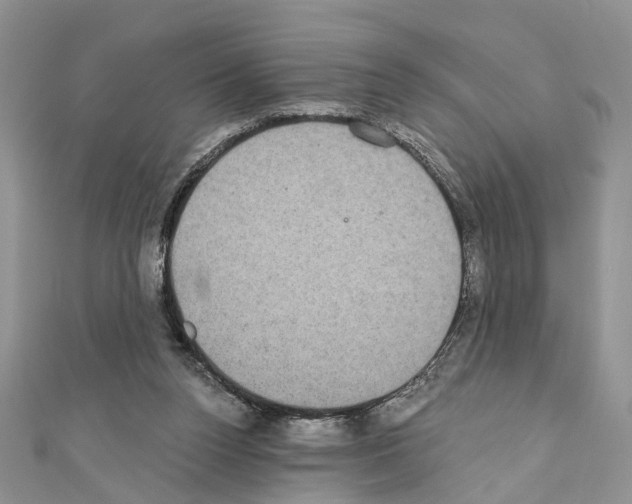 X0000110720160200907241214