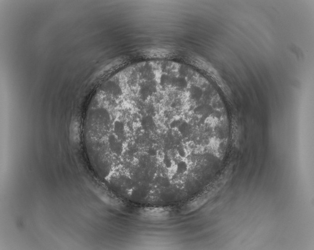 X0000110720161200907241214