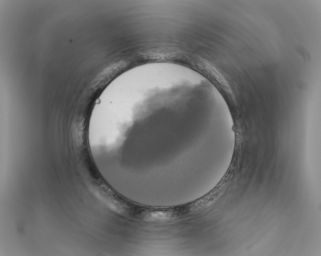 X0000110720163200907241214