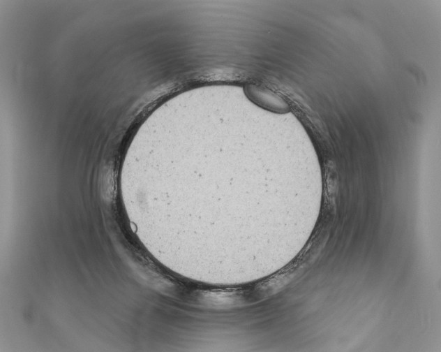 X0000110720164200907241214