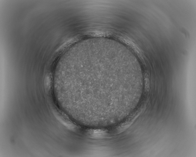 X0000110720165200907241214