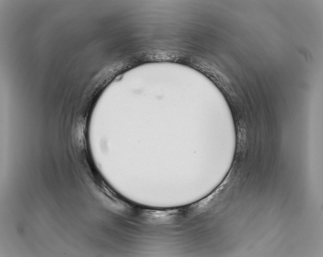 X0000110720166200907241214