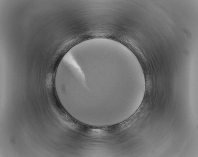 X0000110720167200907241214