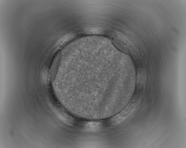 X0000110720168200907241214