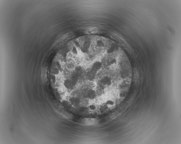 X0000110720169200907241214