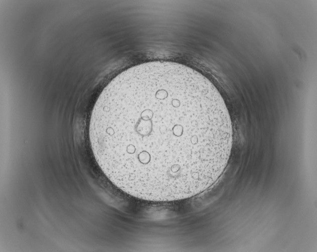 X0000110720171200907241214