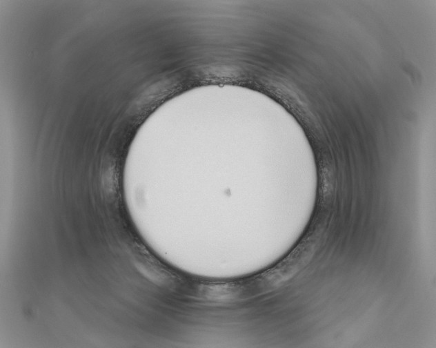 X0000110720173200907241214