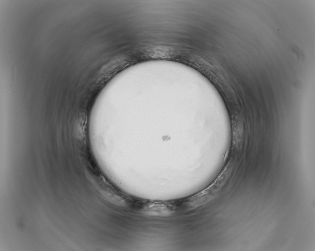 X0000110720175200907241214