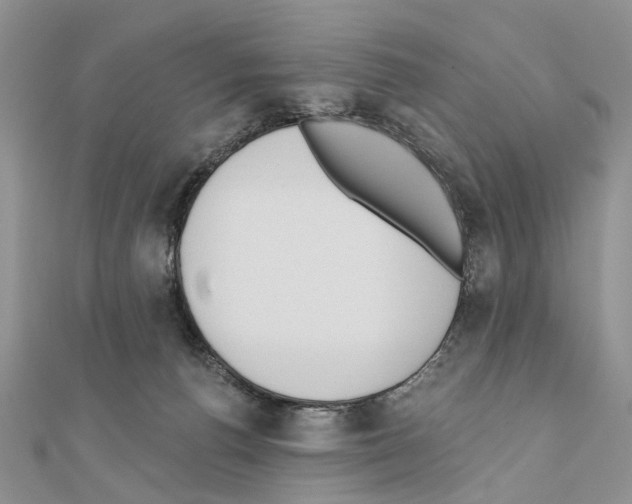 X0000110720176200907241214