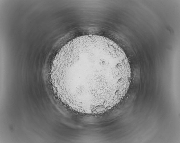 X0000110720177200907241214