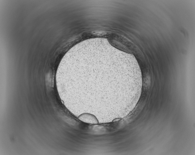 X0000110720180200907241214