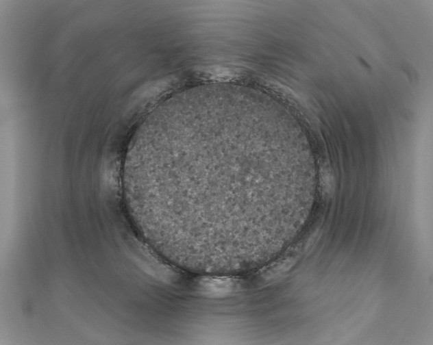 X0000110720181200907241214