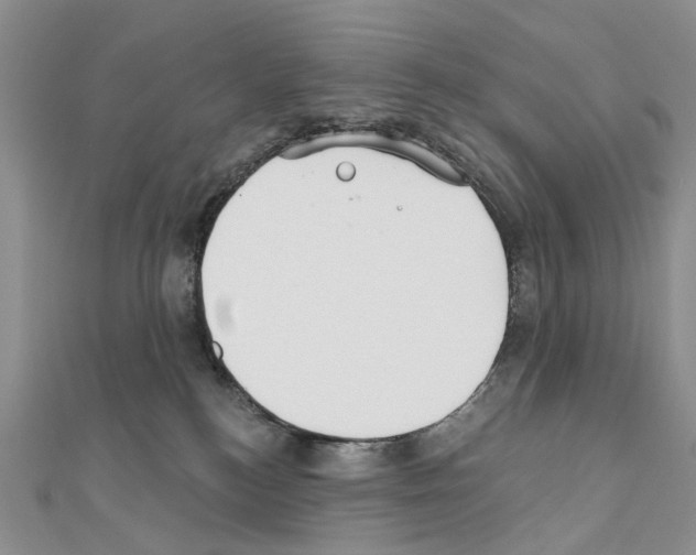 X0000110720184200907241214