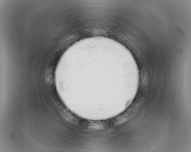 X0000110720185200907241214