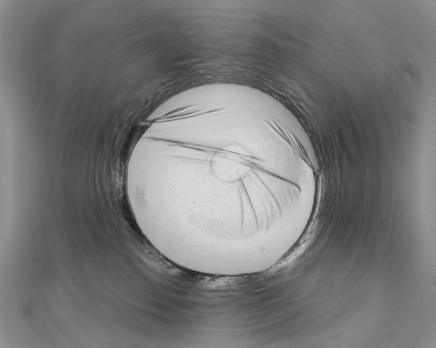 X0000110720186200907241214