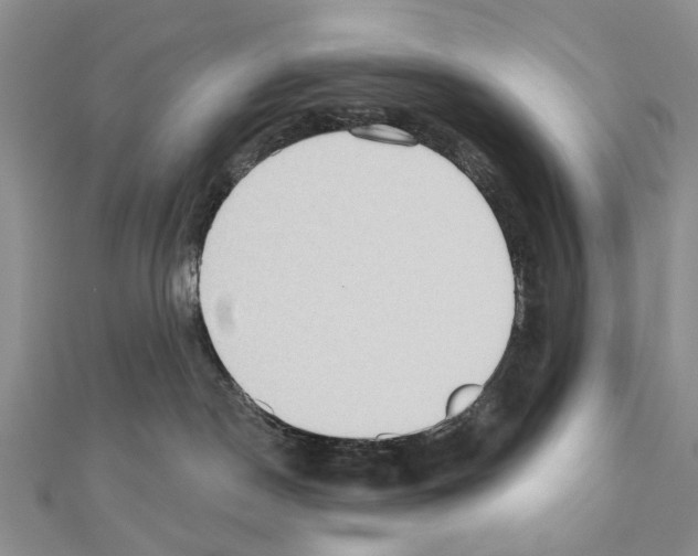 X0000110720190200907241214