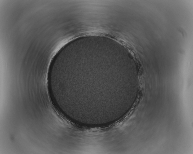 X0000110720196200907241213