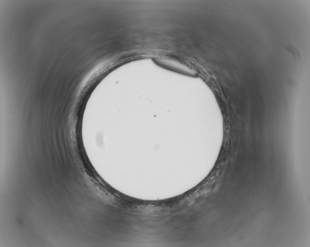 X0000110720197200907241213