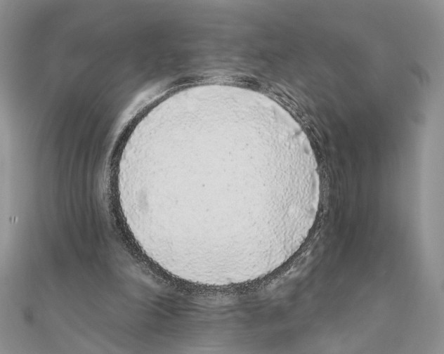 X0000110720198200907241213