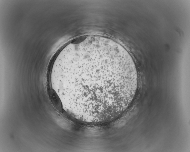 X0000110720199200907241213