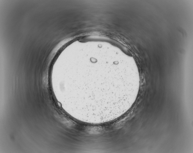 X0000110720200200907241213