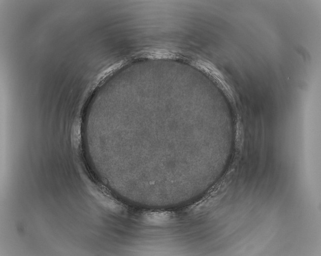 X0000110720202200907241213