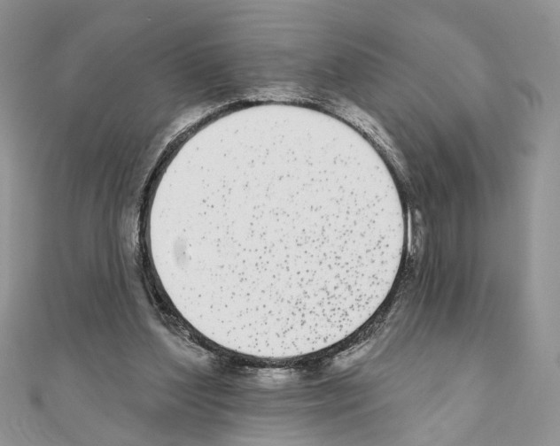 X0000110720204200907241213