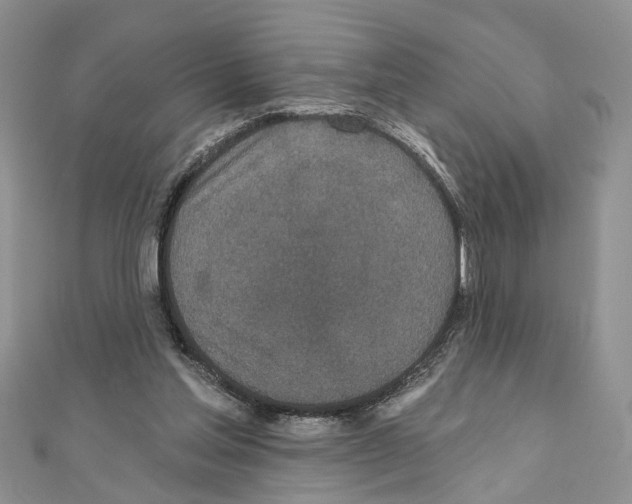 X0000110720205200907241213