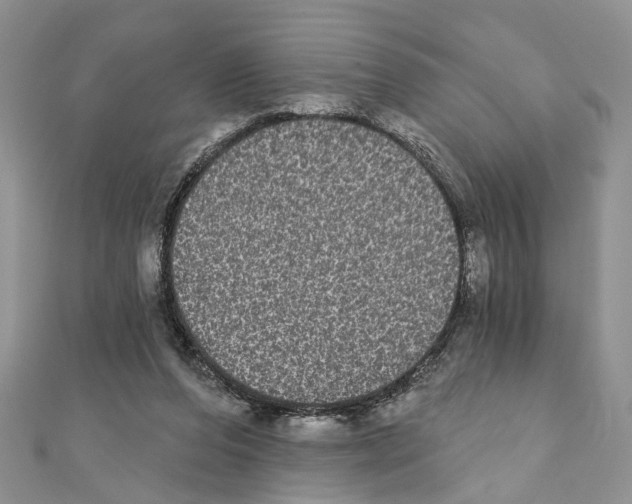 X0000110720208200907241213