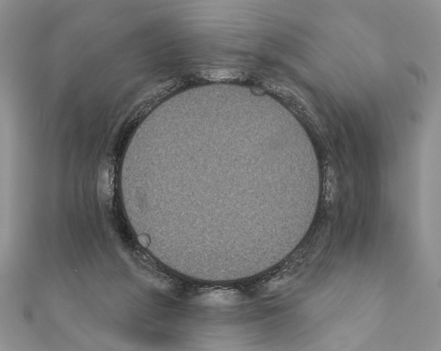 X0000110720210200907241213