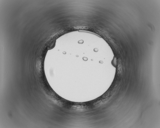 X0000110720211200907241213