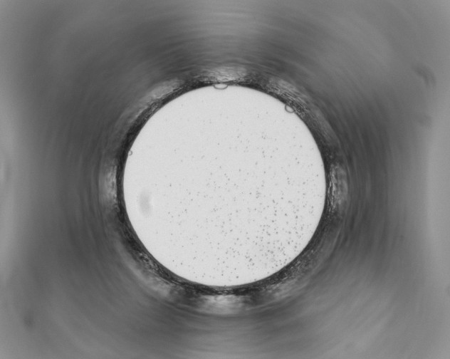 X0000110720212200907241213